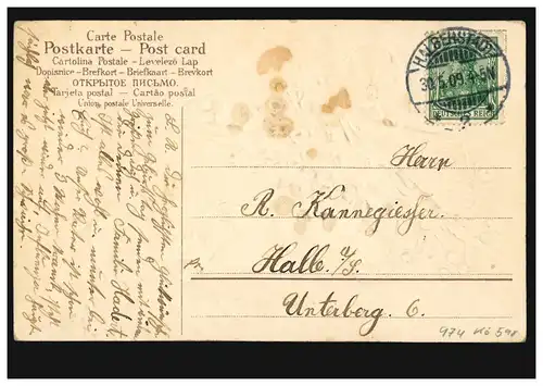 Prägekarte Geburtstag: Wagen mit Maiglöckchen und Tauben, HALBERSTADT 30.5.1909