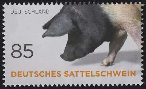 3262 Nutztierrassen: Deutsches Sattelschwein, postfrisch **