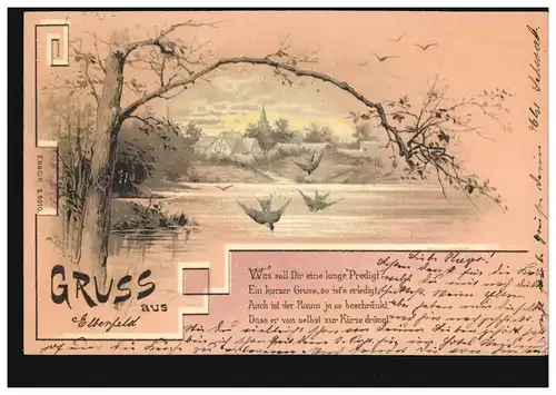 Künstler-AK Gruss aus ... Dorflandschaft mit Teich und Schwalben, ELBERFELD 1899