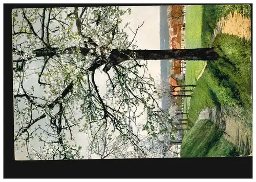 Künstler-AK Baumallee - Frühling auf dem Dorf, Verlag NOD, CÖLN 5 - 25.11.1908 