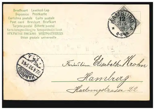 Prägekarte Dorfidylle mit Blumen, HAMBURG 12 h 21.4.1903 als Ortspostkarte