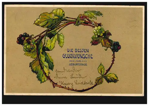 Prägekarte Geburtstag Weinreben als Girlande Weintrauben, ALTONA 3.9.1906 