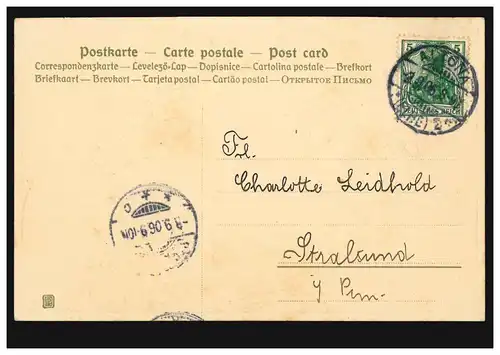 Carte d'anniversaire des vignes comme raisins de guirlande, ALTONA 3.9.1906