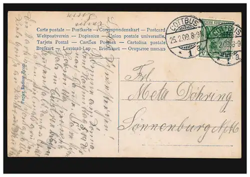 Mode-AK Besinnliche Frau mit Perlenkette und Blumen im Haar, COTTBUS 25.2.1909