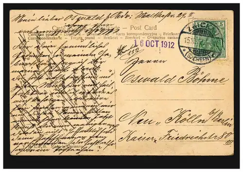 Mode-AK Lächelnde Frau mit Blumengewächs, ZWICKAU (SACHSEN) 2.10.1912 