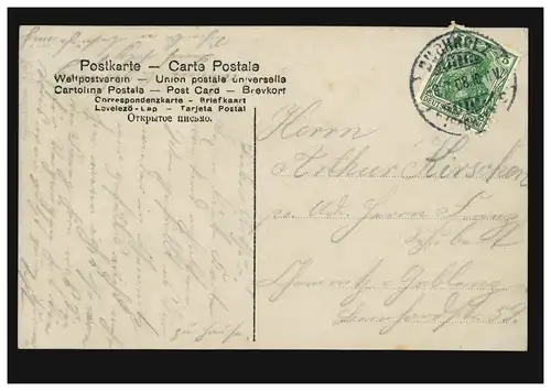 Mode-AK Frau mit Federboa und Blumenzweig, BUCHHOLZ 9.7.1908