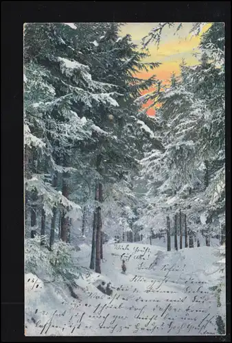AK Artiste lever du soleil dans la forêt d'hiver, MÜNCHEN 14.1.1905 vers NEUBURG 14.1.05