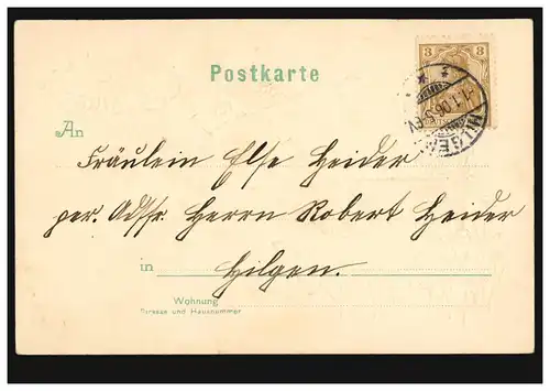 Prägekarte mit Silberüberzug Geburtstag Brieftaube, HILGEN 1.1.1906