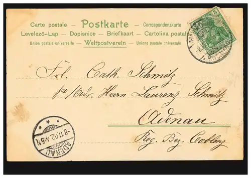 Prägekarte Veilchenstrauss mit Schleife, MARIADORF 8.11.1902 nach ADENAU 8.11.02