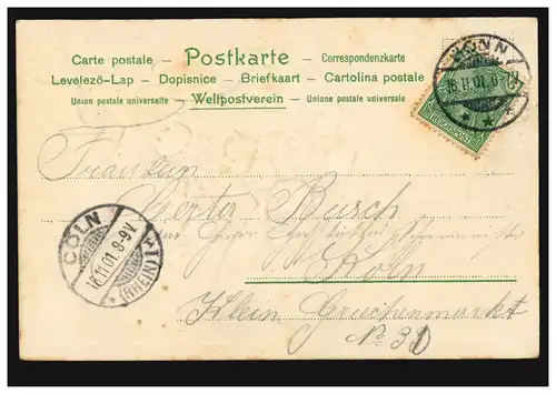 Prägekarte Maiglöckchenstrauss mit Schleife, BONN 16.11.1901 nach CÖLN 16.11.01