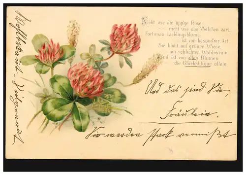 Poème Lyrique AK Bonne Fleur, Klee florissant, LUZERN 13.11.99 selon RUSSIL 13.11