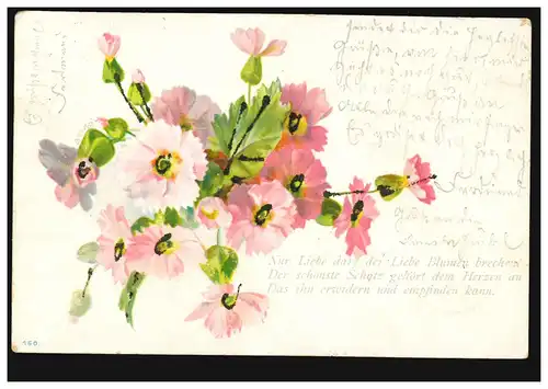 Poème d'amour de poésie AK, ÉCHANGE 30.5.01 D'AFFAIRE DE CHATTE