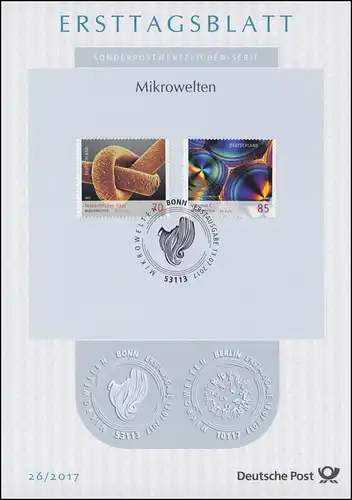 ETB 26/2017 Mikrowelten, Haar, Vitamin C