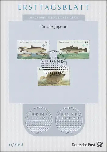 ETB 31/2016 Jeunesse, poissons, hareng, cabillaud, schole