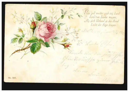 Lyrik-AK Rosenzweig, passendes Gedicht Rosengrüsse Land und Liebe, NORTHEIM 1902