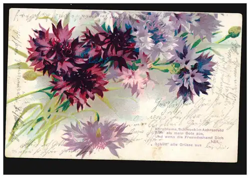 Lyrik-AK Kornblumen, passendes Gedicht Schmuck im Ährenfeld, per Bahnpost 1907