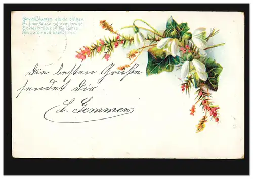 Lyrik-AK Beerenzweig Schneegköckchen, Gedicht Blumengrüsse, BERLIN SW 30.11.1903