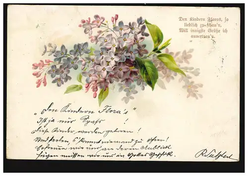 Lyrik-AK Veilchenstrauss, Gedicht Den Kindern Floras ..., WIEN 9 -23.6.1899