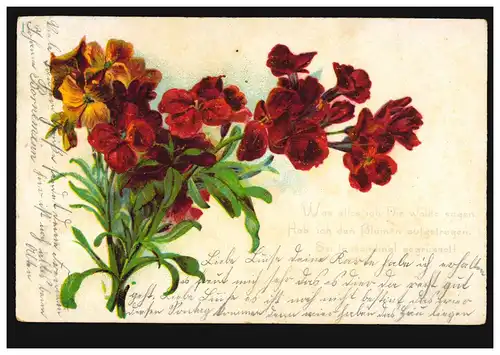 Lyrik-AK Vergissmeinnicht mit passendem Gedicht Blumensprache, LAUENAU 1.7.1904