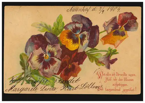 Lyrik-AK Vergissmeinnicht, passendes Gedicht Blumensprache, NAUNHOF 7.9.1904