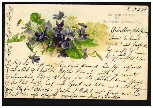 Lyrik-AK Veilchenstrauss, Gedicht Blumen für die Treue, CLAUSTHAL 20.3.1899