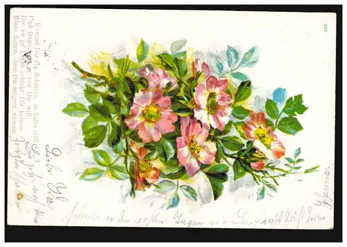 Lyrik-AK Blumenstrauss, Gedicht Schmerz Liebe, SIEGEN 17.8.1903 nach KÖLN 17.8.