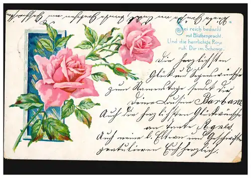 Lyrik-AK Rosenzweig Gedicht Blütenpracht, MAINZ 3 h 20.1.1903 nach KRIFTEL 21.1.