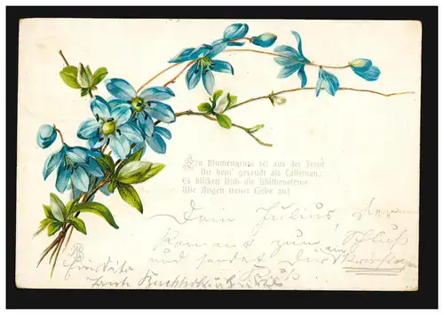 Lyrique AK branche violette poème salut aux fleurs, BERLIN SW. 48 f 22.6.1903 Localité-PK