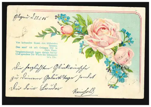 Lyrik-AK Rosen und Veilchen Gedicht Lachende Rosen, GLOGAU 11.1.1905 nach Berlin