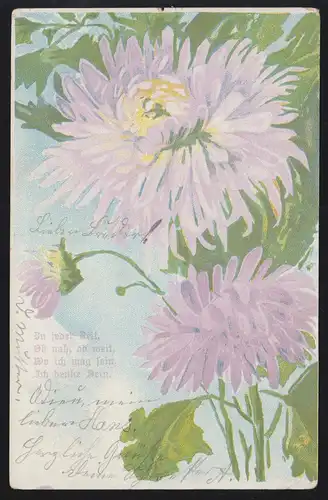 Lyrik-AK Gedicht Ich denke Dein. Astern-Blumen, SCHWARZ 9.1.05 nach MALCHIN