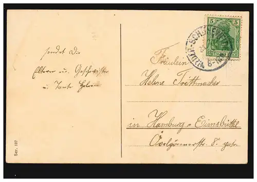 Animaux AK Hirondelles avec Girlande de Trèfle Chanceuse, NIEDER-SCHÖNEWEIDE 1909
