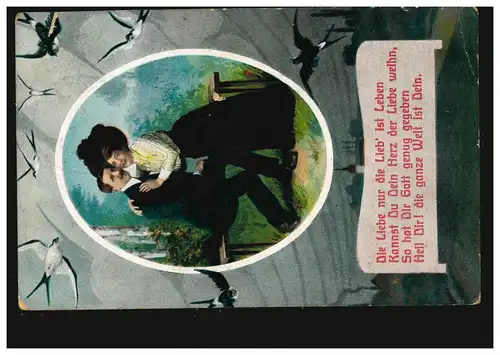 Lyrique AK couple d'amour et hirondelles, poème coeur amour vie, ASSASSIN 1911