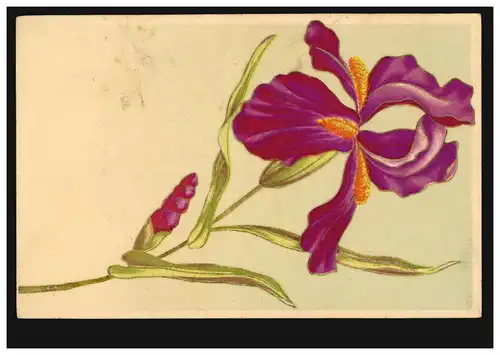 Prägekarte Orchideenzweig, VELDEN an der Vils 20.11.1905 nach BORNHEIM 21.1.05