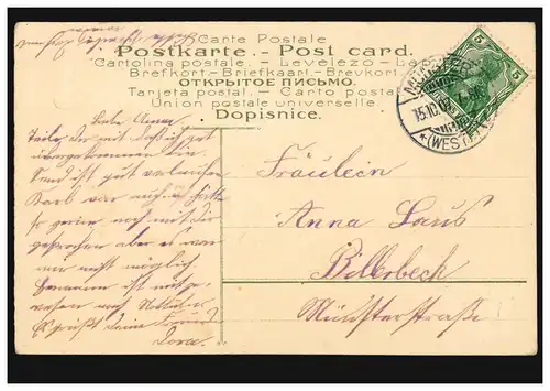 Prägekarte Blumenschrift: Vergiss mein nicht! Taubenpaar, MÜNSTER 15.10.1907