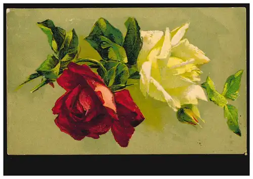 Carte de pré-rose Rose blanche / Rosé rouge, INNERINGEN (HOHENZOLLER) 27.7.1908