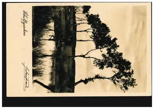 Foto-AK Schilfgraben, Druck Paul Fink / Berlin, per Bahnpost 1931 nach Hannover