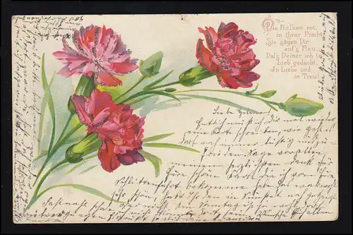 Lyrique AK Œillets rouges, poème approprié Amour et fidélité, BRUNSCHWEIG 23.2.1901