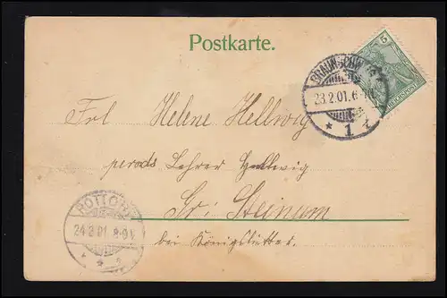 Lyrik-AK Rote Nelken, passendes Gedicht Liebe und Treue, BRAUNSCHWEIG 23.2.1901