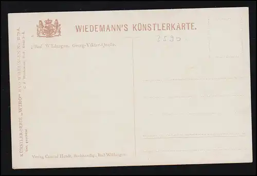 Wiedemann's Künstlerkarte: Bad Wildungen Die Georg-Viktor-Quelle, ungebraucht