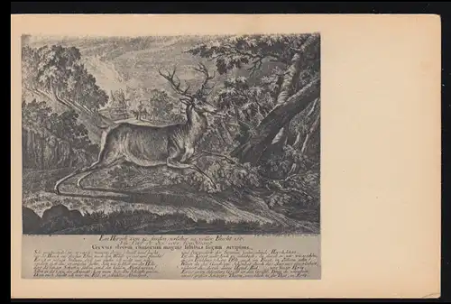 AK Artiste Gravure sur cuivre par Johann Elias Ridinger: Le cerf en fuite