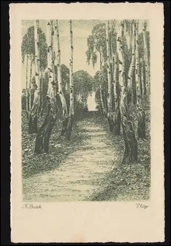 AK K. Busek: Birkenallee, maison d'édition tchécoslovaque, non utilisée