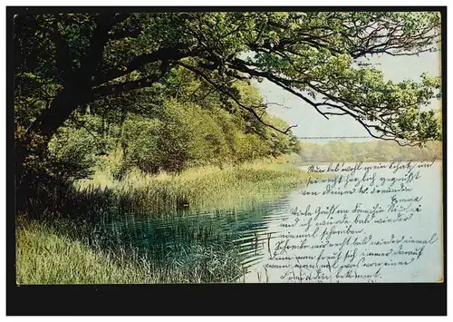 AK Artiste paysage forestier avec lac, ERFURT 26.4.1912