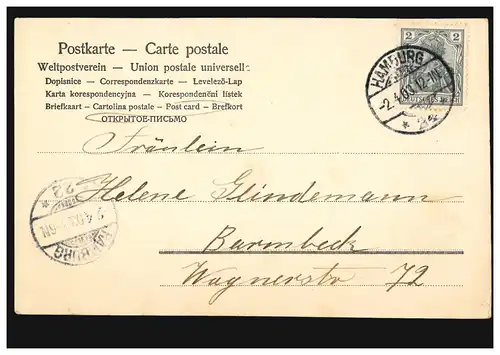 Chers AK Heidenröslein - Les défenses: Je te pique!, HAMBURG 24 - 2.4.1903