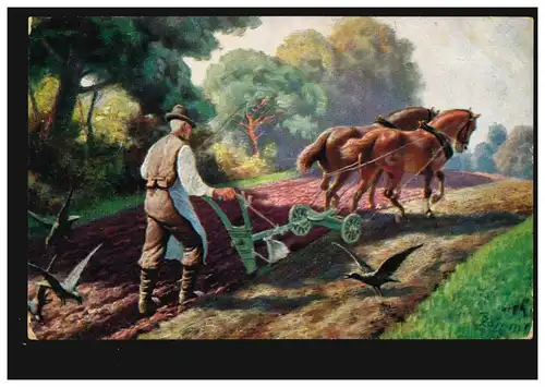 AK Agriculture: Charrues de chevaux avec corbeaux, poste de terrain ALTONA 1917