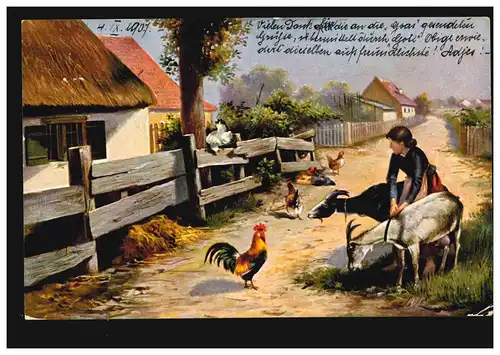 Artiste-AK Dorfidylle Poules et chèvres, INNSBRUCK 4.9.1907 selon INNICHEN 4.9