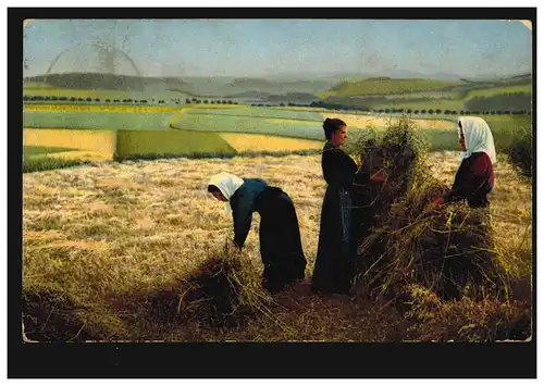 Artiste-AK Femmes à la récolte des céréales Placement des gerbes, Godesberg 6.8.10