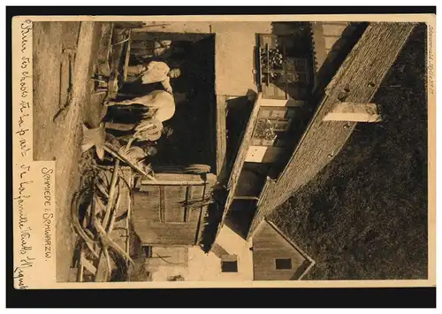 Foto-AK Forgeron dans la Forêt Noire: Saisissage de sabots, 1905 vers Luxembourg
