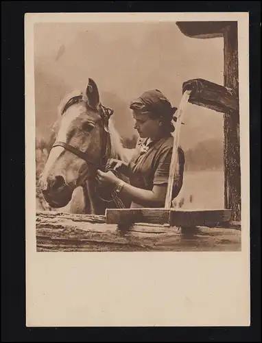 Photo AK Le maid de travail conduit le brun à l'abreuvoir, non utilisé