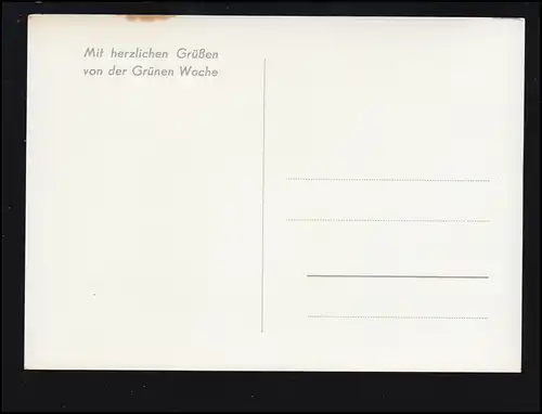 Foto-AK Grüne Woche: Die Rübenernte per Maschine, ungebraucht, um 1960