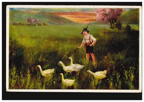 Künstler-AK E. Frank: Gänsebub, Verlag W.S.+S.B., ungebraucht